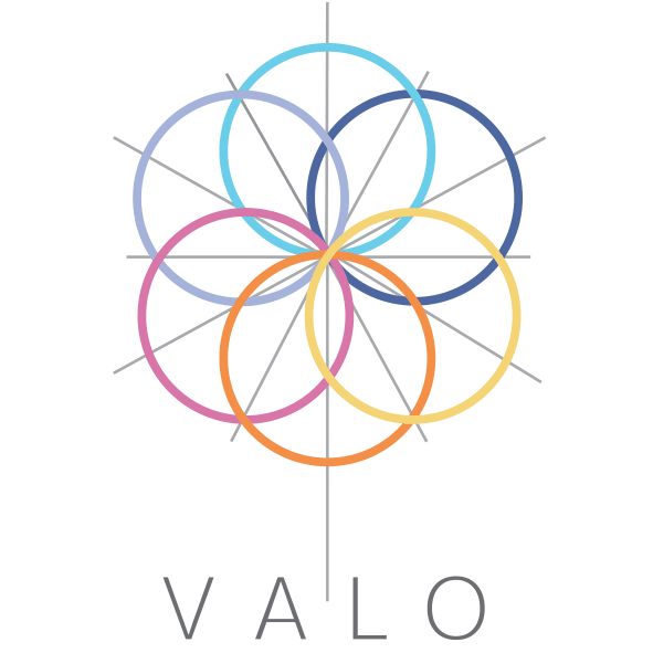 valo-split-rekonekcija-tamara-logo